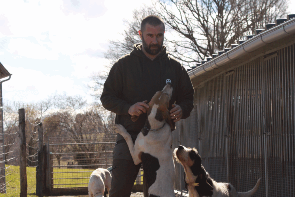 chiot courant à l’écoute de son maître