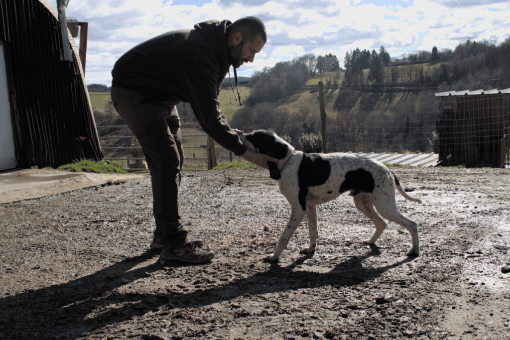 résultats concours chiens courants Pins Aumônerie